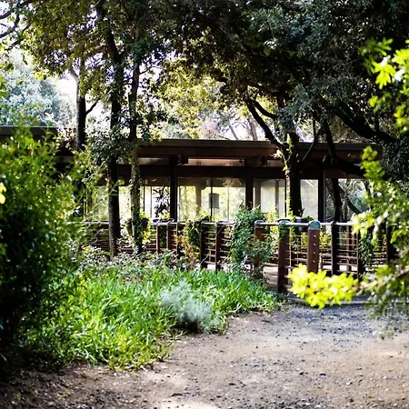 Riva Degli Etruschi Holiday home *