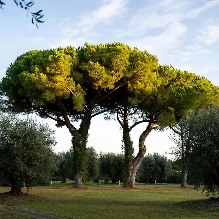 Holiday home Riva Degli Etruschi *